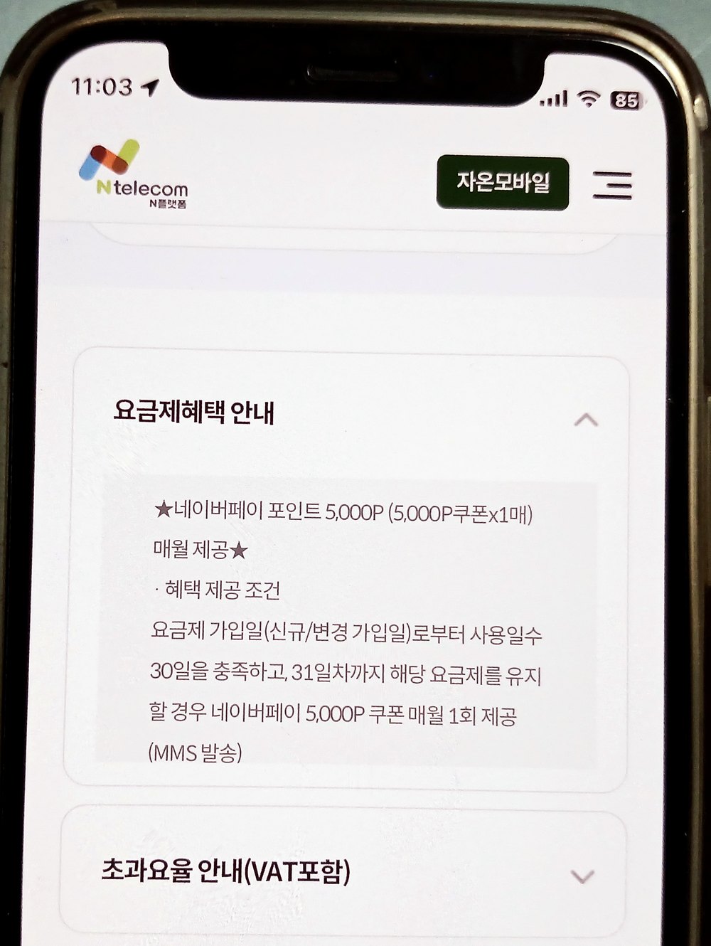 N플랫폼 요금제 혜택 안내 화면의 네이버페이 포인트 5,000P 매월 제공과 지급 조건